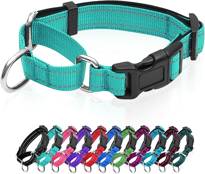 Reflective Martingale Dog Collars. Dog Collar with Quick Release Buckle. Adjustable Soft Padded Breathable Nylon Pet Collar Suitable for Puppies for Small Medium Large Dogs.
