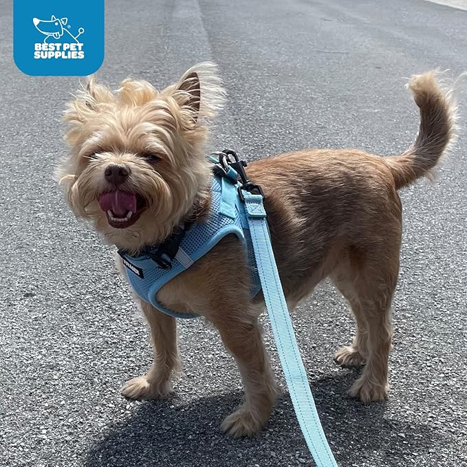 Voyager Step-in Air All Weather Mesh Harness and Reflective Dog 5 ft Leash Combo with Neoprene Handle, for Small, Medium and Large Breed Puppies by Best Pet Supplies - Army Base, XXS