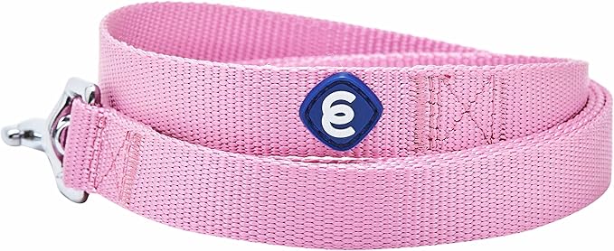 Blueberry Pet Essentials Durable Classic Dog Leash | Basic Nylon Dog Leash | 5ft. x 5/8" Small Dog Leash | Fuchsia Pink Dog Leash | Standard Dog Leashes & Lightweight Dog Leash for Training