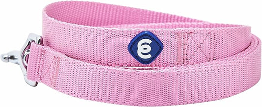 Blueberry Pet Essentials Durable Classic Dog Leash | Basic Nylon Dog Leash | 5ft. x 5/8" Small Dog Leash | Fuchsia Pink Dog Leash | Standard Dog Leashes & Lightweight Dog Leash for Training