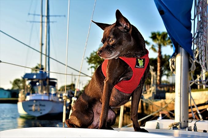 EcoBark Step in Dog Harness - Eco-Friendly Small Dog Harnesses for Small & Medium Breed Dogs - Reflective and Adjustable Body Halter Vest - Soft Mesh Harness (Red, Medium)