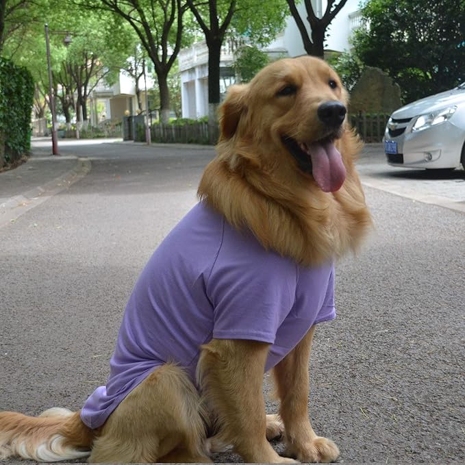 Lovelonglong Pet Clothing Dog Costumes Basic Blank T-Shirt Tee Shirts for Medium Large Dogs Violet XXL+