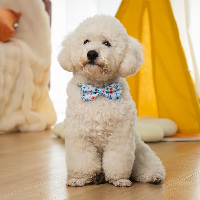azuza Dog Collar with Bow Tie, Soft and Comfortable Adjustable Bowtie Dog Collar for Puppy and Small Dogs (XS, Gerbera)