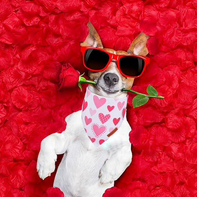 ADOGGYGO Valentine Dog Bandana, Colorful Heart Pet Scarf, Multi Size Offered, White Blue Valentine Heart Bandanas for Medium Large Dogs (Large)