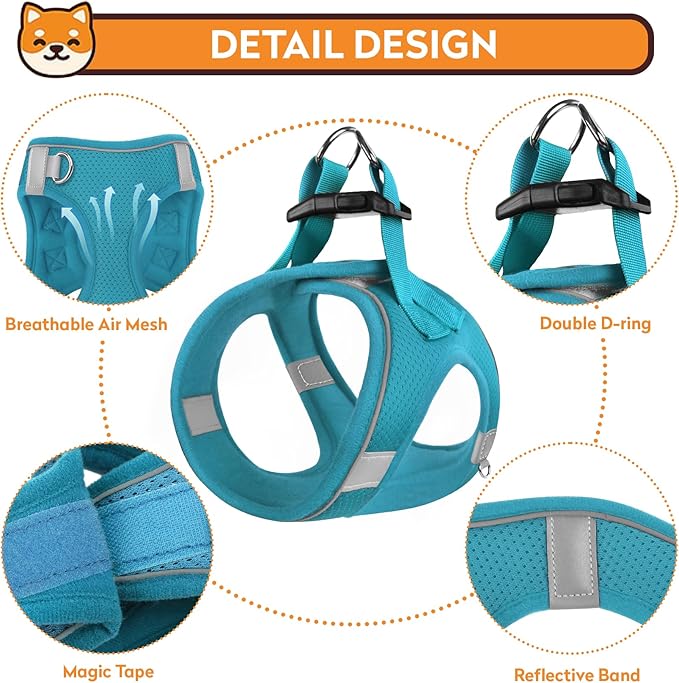 Dog Harness with Leash Set, No-Pull Step-in Reflective Pet Harness with 1 Leash Clips, Adjustable Soft Padded Easy Walk Dog Vest for Small Medium Large Dogs, Cats(Teal, Medium)