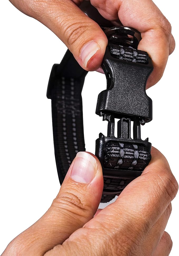 Franklin Pet Supply Co. - Nylon Dog Collar - Reflective Comfort - Fit - Neoprene - Adjustable- Small- Medium - Large - Puppy - Dog - Cat- Easy Clip