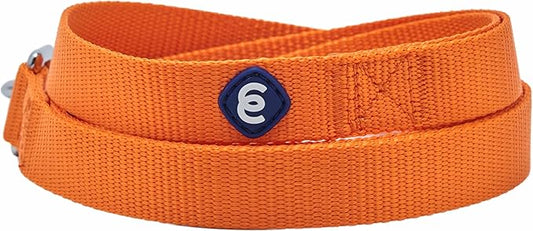 Blueberry Pet Essentials Durable Classic Dog Leash | Basic Nylon Dog Leash | 5ft. x 5/8" Small Dog Leash | Orange Vermilion Dog Leash | Standard Dog Leashes & Lightweight Dog Leash for Training