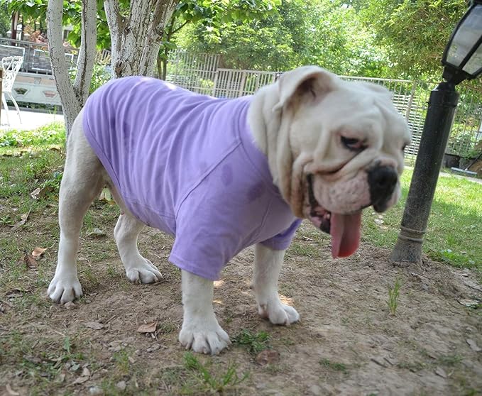 Lovelonglong Bulldog Clothes Dog Clothing Blank T-Shirt Tee Shirts for French Bulldog English Bulldog American Pit Bull Pugs 100% Cotton Skin Care Violet B-S