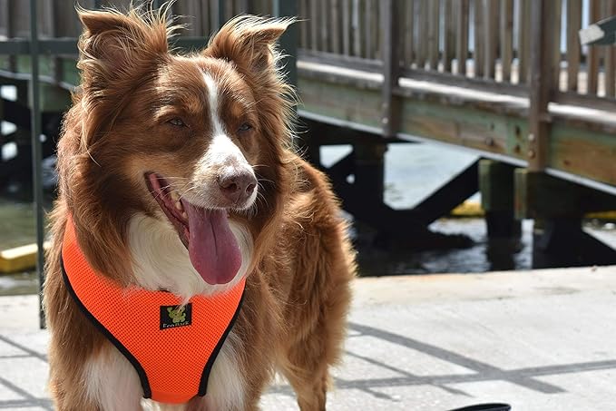 EcoBark Dog Harness - Luxurious Soft Mesh - Eco-Friendly Over The Head Vest Harness - No Pull & No Choke Design - Padded Breathable Body Halter - Large Puppies & Medium Breeds (XL, Orange)