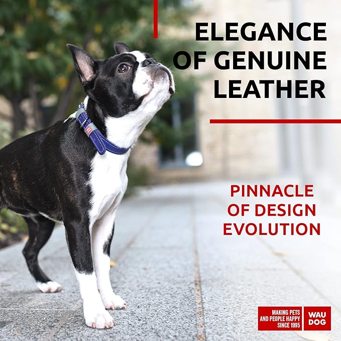 WAUDOG Long Lasting Leather Dog Collar for Large Dogs, Medium & Small Dogs - Adjustable Classic Puppy Collars for Large Breed Dogs - Boy & Girl Dog Collars with Durable Buckle, D-Ring & QR Dog Tag