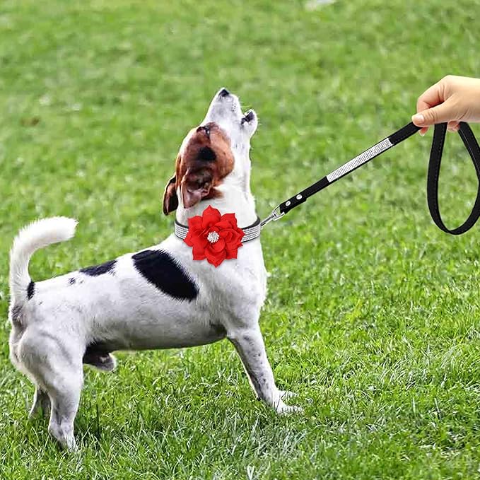 PET ARTIST Rhinestone Dog Collar and Leash Set, Sparkling Girl Dog Collars with Bling Diamonds, Soft Leather Red Puppy Collars with Cute Flower for Small Dogs Cats Walking Party Wedding,XS
