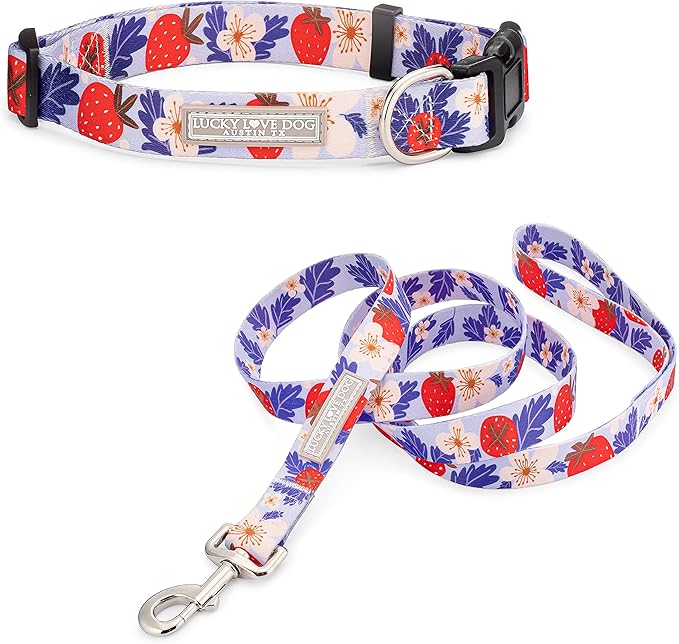 Lucky Love Dog - Easy Click Buckle Dog Collar with Leash Set Combo, Durable & Comfortable for Male & Female Dogs, Pet Collar for Small to Large Dogs, Secure Fit - Sweet Berry Combo, Small