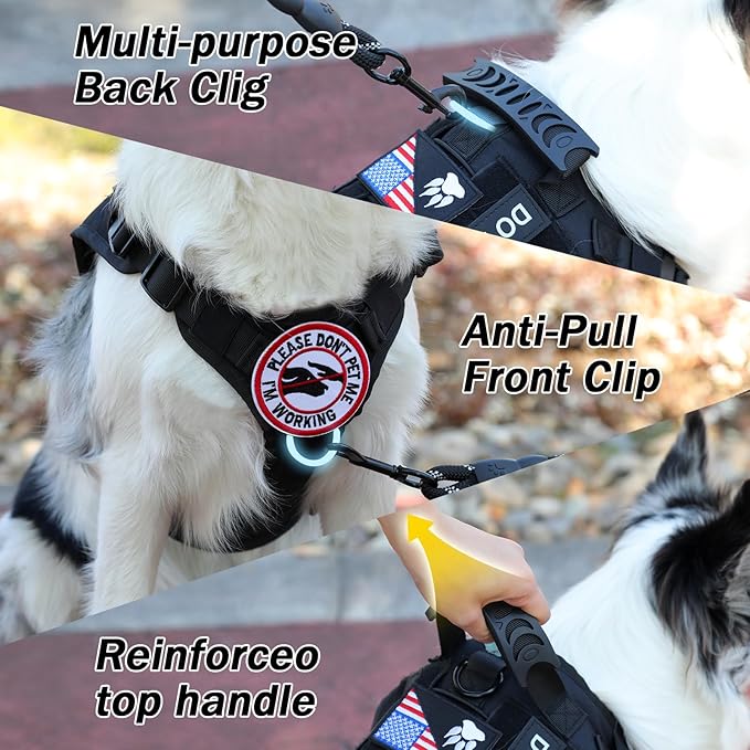 No Pull Tactical Dog Harness for Large Dogs, Escape Proof Molle Dog Vest Harness and Leash Set, Adjustable Military Service Dog Harness with Handle for Medium Large Dogs(Black, L)