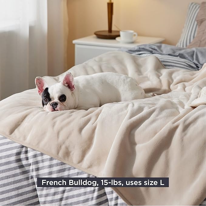 Bedsure Cat Blanket for Indoor Cats - Waterproof Calming Cat Blankets for Couch Protection, Sherpa Fleece Pet Blanket, Soft Plush Reversible Throw Furniture Protector, 50"x40", Cream