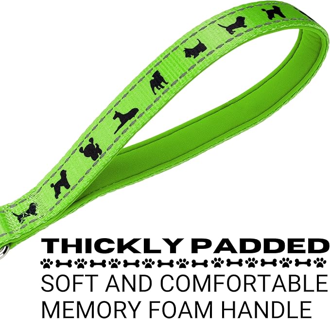 EcoBark Dog Leash - Soft & Reflective Comfort Training Leashes with Padded Handle - Strong Durable Heavy Duty - Training and Pulling for Small, Medium or Large Dogs (Green)