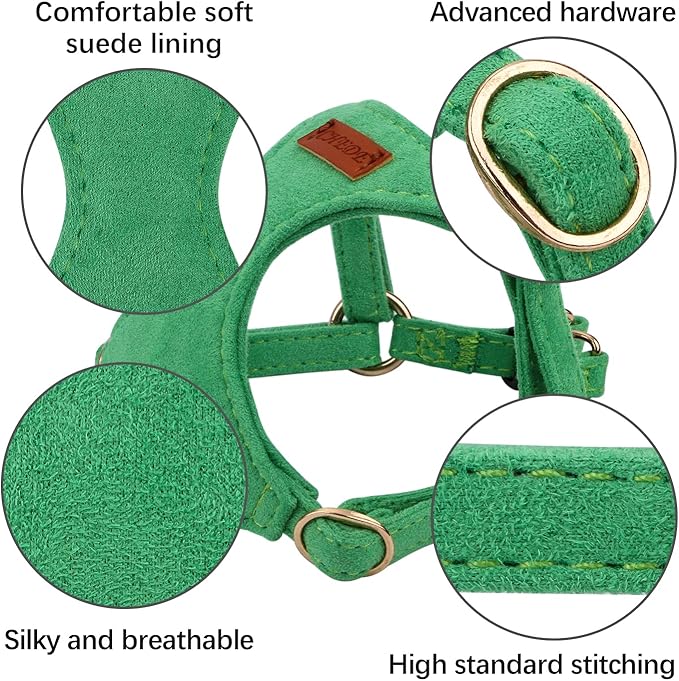 CHEDE No Pull Puppy Harness and Multifunction Dog Leash Set- 8 Colors Soft Adjustable No Choke Escape Proof Cute,Lightweight Pet Vest Harness for Small and Medium Dog (XS, Green)