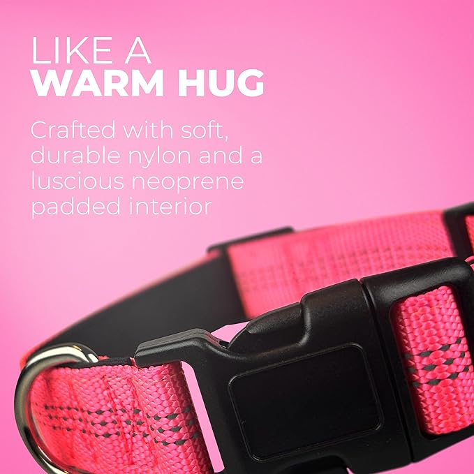 BLAZIN Reflective Dog Collar - Vibrant Color for Day and Night - Soft Neoprene Padded Collar - Adjustable Sizing -'Color Me Happy!' Dog Collars - Brighter Means Safer - (Large, Yellow)