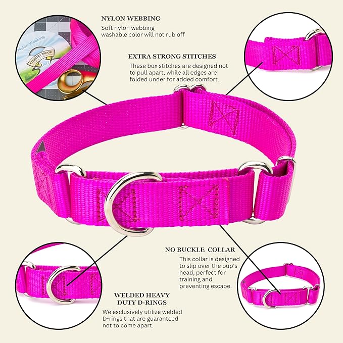 Country Brook Petz Martingale Dog Collar - Heavy-Duty Training Collar with No Buckle - Service Dog Collar for All Pups - Vibrant, Colorful Collection (Fuchshia, 5/8 Inch, Extra Small)