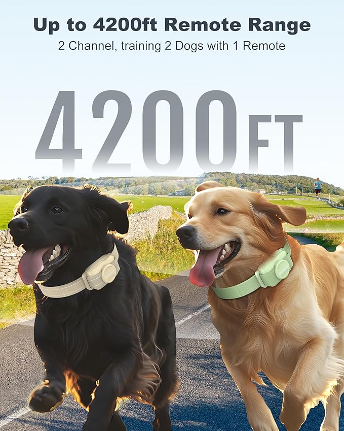 Jugbow Dog Shock Collar 2 Dogs (5-120Lbs) - 4200FT Dog Training Collar with Remote for Large Medium Small Dogs, Rechargeable Waterproof IPX8 E Collars with Beep (1-3) Vibration(1-3) Safe Static(0-99)