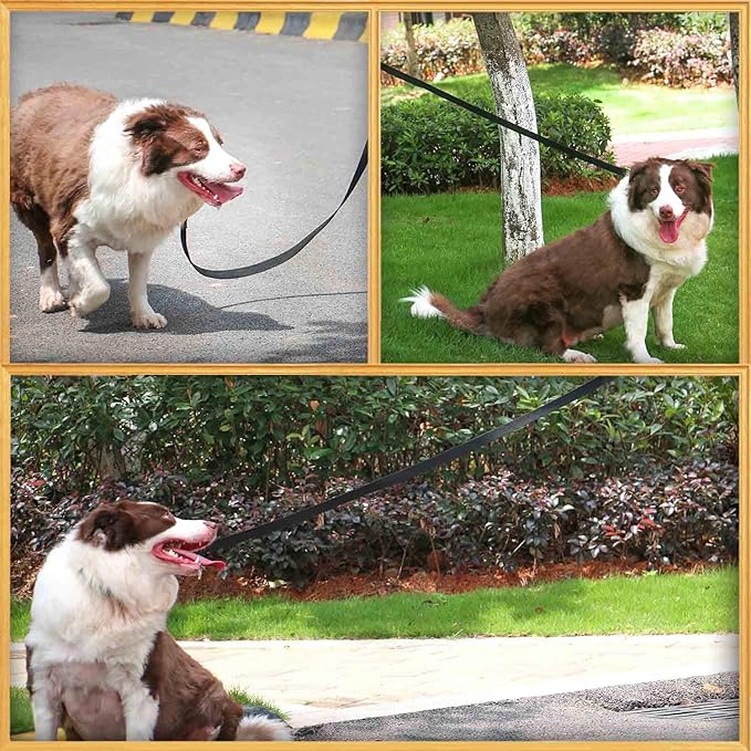 AMAGOOD 6 FT Puppy/Leash, Strong Traditional Style with Easy to Use Collar Hook, Great for Small, Medium and Large Dogs (3/4 in x 6 ft, Black)