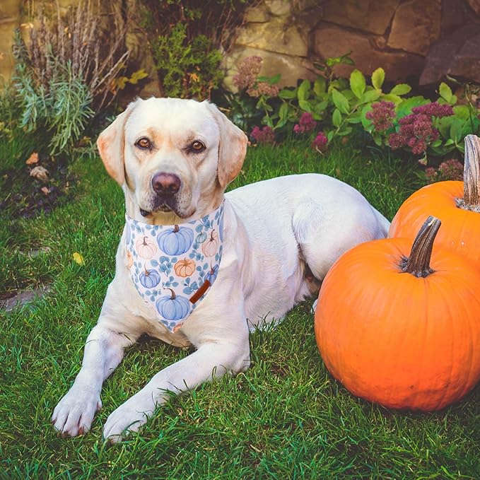 ADOGGYGO Thanksgiving Dog Bandana, Fall Leaves Pumpkin Pet Scarf, Premium Durable Fabric, Adjustable Fit Thanksgiving Bandanas for Medium Large Dogs Pets (Large)