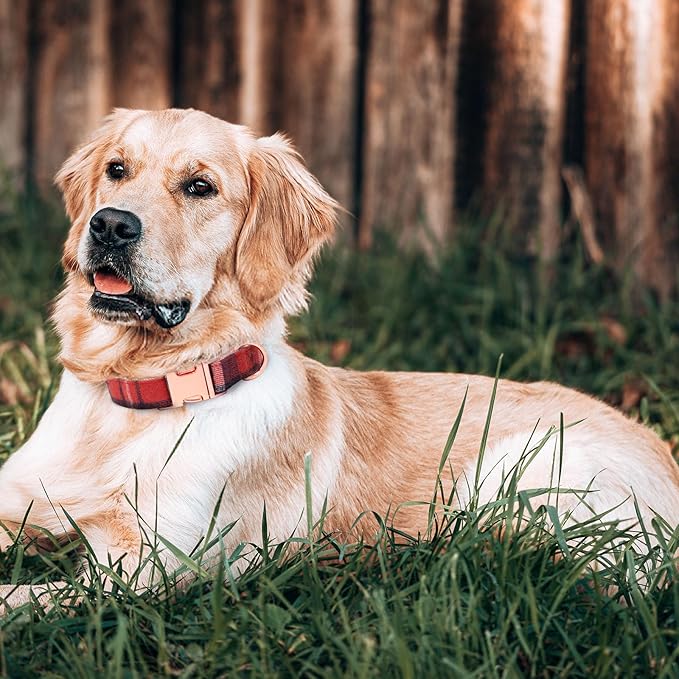 Dog Collar and Leash Set Girls Adjustable Puppy Collars with Plaid Bow Tie for Small Medium Large Female Dogs, Red Plaid, XS