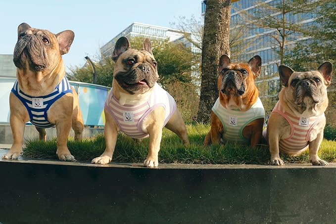 iChoue 3pcs French Bulldog Striped Shirts 100% Breathable Cotton Tank Tops Vests Clothes for Frenchie Dogs, Pink Purple Green Stripes, Large