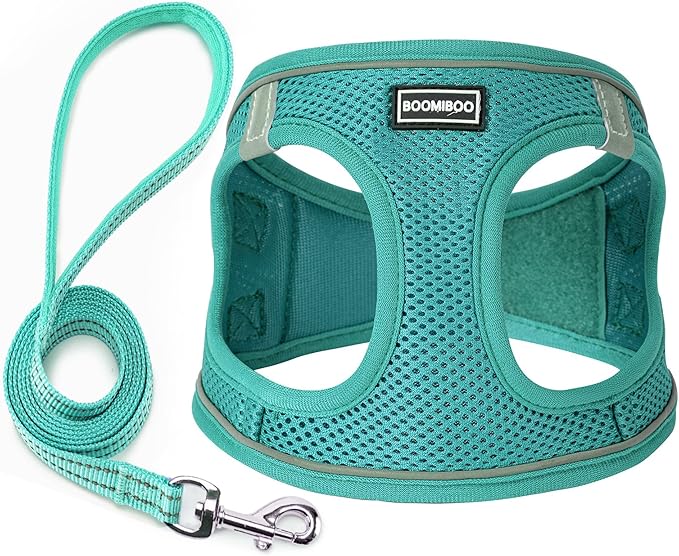 Dog Harness with Leash Set, No Pull Adjustable Reflective Step-in Puppy Pet Vest Harnesses for Small Medium Large Dogs and Cats,Forest Green XL