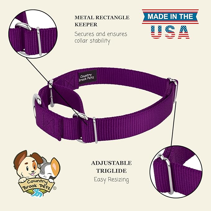 Country Brook Petz Martingale Dog Collar - Heavy-Duty Training Collar with No Buckle - Service Dog Collar for All Pups - Vibrant, Colorful Collection (Purple, 1 Inch, Large)