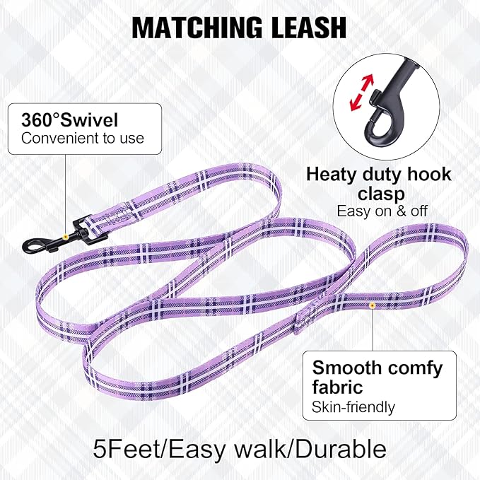 BEAUTYZOO No Pull Dog Harness and Leash Set - Adjustable Step-in Puppy Harness for Small Medium Large Dogs, Escape Proof Soft Nylon Vest with Double D Ring for Walking Running Training, Purple XS
