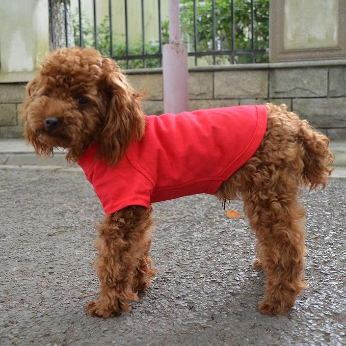 Lovelonglong Pet Clothing Dog Costumes Basic Blank T-Shirt Tee Shirts for Small Dogs Red S
