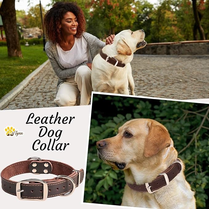 ADITYNA Heavy Duty Leather Dog Collar for Medium Dogs - Soft and Strong Collar for Walking, Training, Hiking, and Running (Medium: Fit 13" - 20" Neck, Brown)
