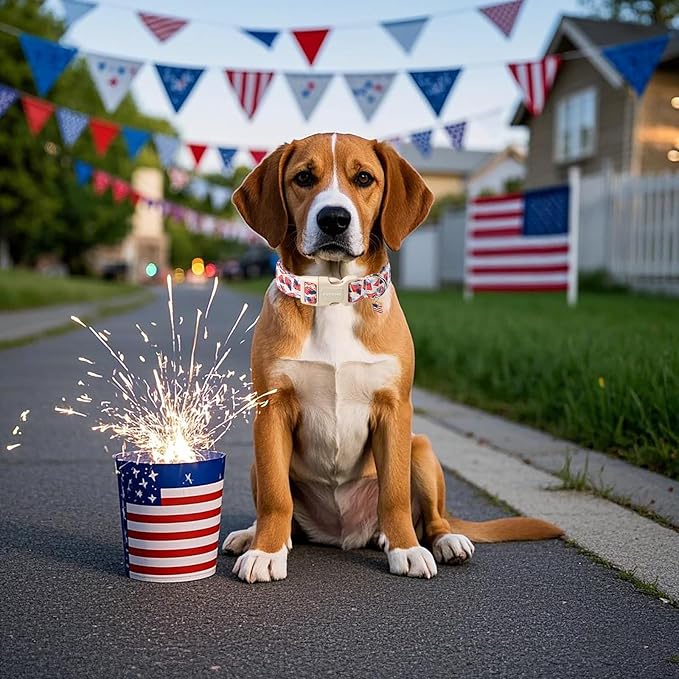 DOGWONG American Flag Dog Collar, Patriotic Independence Day Dog Collar Durable Soft Fabric Pet Dog Collars Boy Puppy Necklace for Small Medium Large Dogs