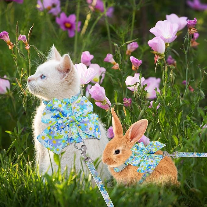 PAWCHIE Cat Harness and Leash Set with Bow Knot,Cats Escape Proof-Adjustable Daisy Floral Kitten Harness Soft Outdoor Walking Travel Pet Harness,Puppy Harness for Girl Cats Bunny Rabbit Small Dog,Blue