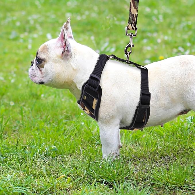 PUPTECK Dog Harness and Leash Set for Small Medium Dogs No Pull, Soft Mesh Adjustable Puppy Cat Harness Reflective at Night, Camouflage M