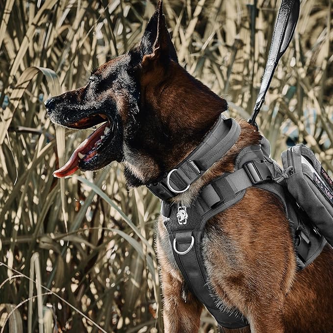 OneTigris Tough Dog Collars, Tactical Dog Collar with Handle, Milltary Adjustable Dog Collar with Heavy Duty Metal Buckle for Training (Large,Gray)