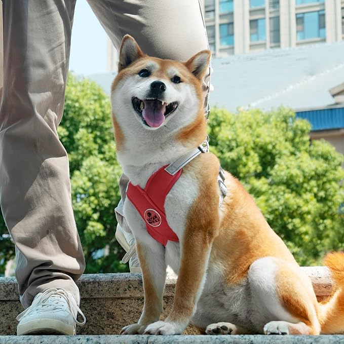 Patas Lague Dog Harness with Leash Set Adjustable Soft Padded Step-in Dog Vest No Choke No Pull Reflective for Medium Pets with Poop Bags and Dispenser, Solid and No-chew, Red L