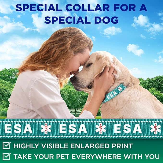 TECEUM Reflective Pet Collar – Teal - ESA – XS – Extra Soft Padding – Basic Nylon Dog Collar – Quick Release Buckle – Fits Small, Medium and Large Dogs, Puppies, Cats – ESA & Service Dog Options