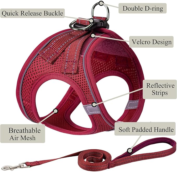 Dog Harness with Leash Set, No Pull Adjustable Reflective Step-in Puppy Pet Vest Harnesses for Small Medium Large Dogs and Cats,Red XXS