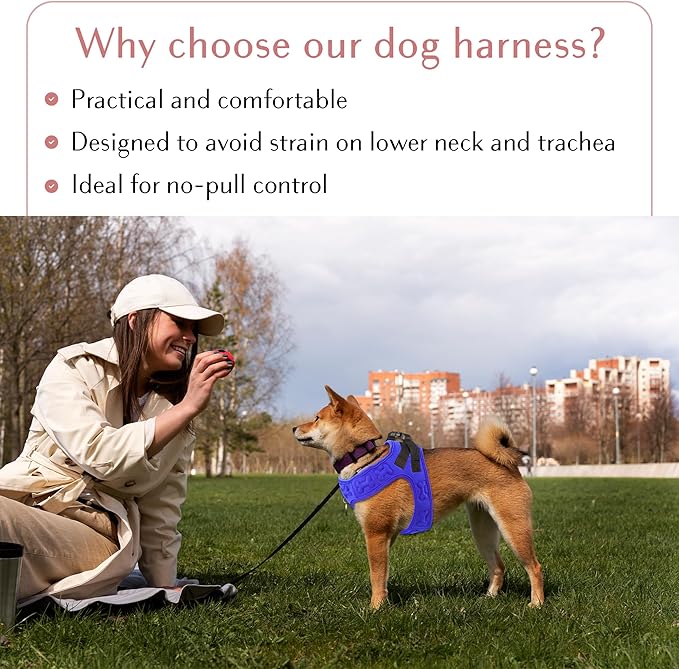 Comfort fit Step-in Dog & Puppy Harness - Comfortable All Weather Dog Vest Harness: Adjustable, Soft Padded, Easy to Put-on for Small, Medium-Sized Dogs.