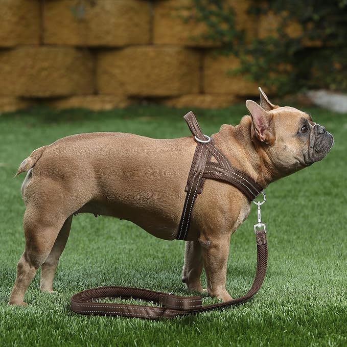 Plutus Pet No Pull Dog Harness with Breathable Mesh Padded, Adjustable Reflective Escape Proof Dog Harness, Quick Fit Dog Vest Harness for Small Medium Large Dogs(L, Chocolate)