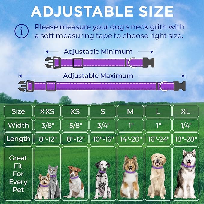 TECEUM Reflective Pet Collar – Purple – XL – Extra Soft Padding – Basic Nylon Dog Collar – Quick Release Buckle – Fits Small, Medium and Large Dogs, Puppies, Cats – ESA & Service Dog Options