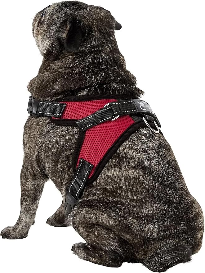 No Pull Reflective Adjustable Dog Harness With Handle- Comfortable Soft All Weather Mesh, Easy On Puppy Harness For Small Medium and Large Dogs (Red) Medium