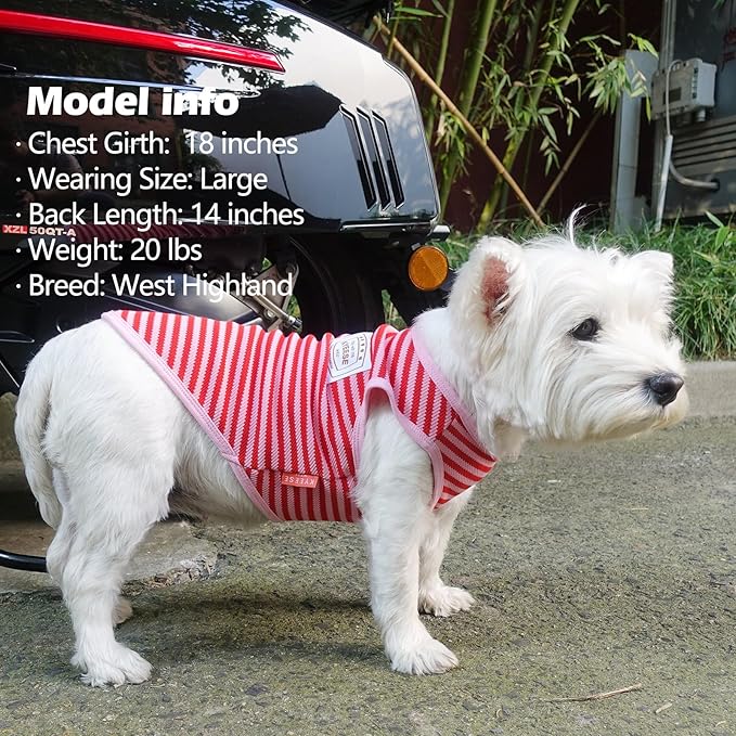 KYEESE 2Pack Dog Shirts Striped for Small Dogs Soft Stretchy Dog T-Shirts Lightweight Tank Top Sleeveless Vest Breathable Pet Apparel, Large, Green+Pink