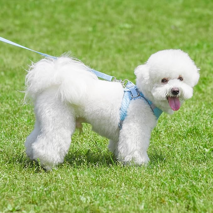Tiny Dog Harness, All Weather Diamond Mesh, Reflective Stripes, No Pull Step in Lightweight Vest Harness for Puppy, Small Dogs and Cats Blue XXXS
