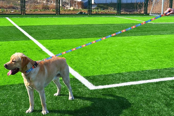 Dog Collar and Leash Set with Bohemia Floral Tribal Geometric Patterns - Soft Ethnic Style Collar Adjustable for Small Medium Large Dogs(Bohemian Orange Set,XS)