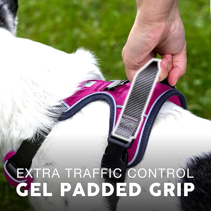 Embark Adventure Dog Harness, Reflective Trim XL Dog Harness for Extra Large Dogs No Pull - Military Grade Nylon, 2 Leash Clips & Gel Lined Handle.