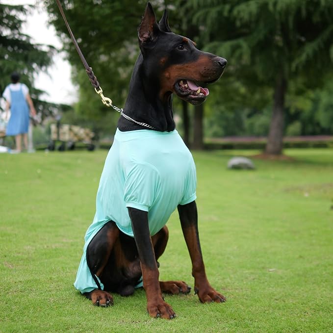 LoveLongLong Dog Jumpsuit with UV Protection and Quick-Dry Fabric for Spring Summer Pet Pajamas Turquoise 2XL