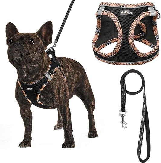 AMTOR Small Dog Harness with Leash Set, No Escape Easy Walk Puppy Harnesses for Training Walking, Step-in Reflective Soft Dogs Vest for XS S Medium Extra-Small Large Sized Dog(BlackYellow,XXS)