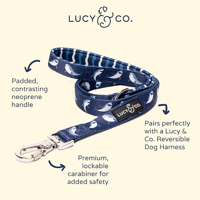 Lucy & Co. 5 Foot Designer Dog Leash – Puppy Leash – Pet Accessories & Supplies (Shark Attack, Small)